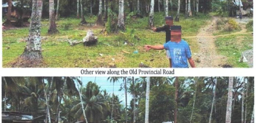 Foreclosed Agricultural Lot in Jabonga, Agusan del Norte · Lot 935 (PDIC)