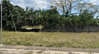 Foreclosed Residential Lot in San Pablo City, Laguna – Manhattan Village V (Metrobank)