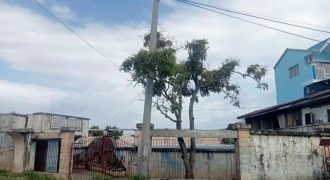 Foreclosed House and Lot in Calamba, Laguna · Lot 22 Blk. 2 (Metrobank)