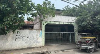 Foreclosed House and Lot in Biñan City