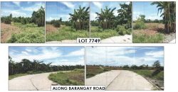 Foreclosed Agricultural Lot in Jones, Isabela · Lot 7749 (PDIC)