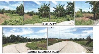 Foreclosed Agricultural Lot in Jones, Isabela · Lot 7749 (PDIC)