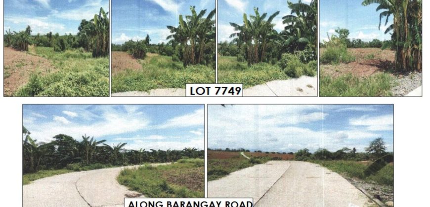 Foreclosed Agricultural Lot in Jones, Isabela · Lot 7749 (PDIC)