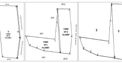 Foreclosed Agricultural Lot in Jones, Isabela · Lot 3 (PDIC)