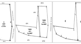 Foreclosed Agricultural Lot in Jones, Isabela · Lot 3 (PDIC)
