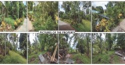 Foreclosed Agricultural Lot in Jones, Isabela · Lot 4 (PDIC)