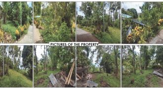 Foreclosed Agricultural Lot in Jones, Isabela · Lot 4 (PDIC)