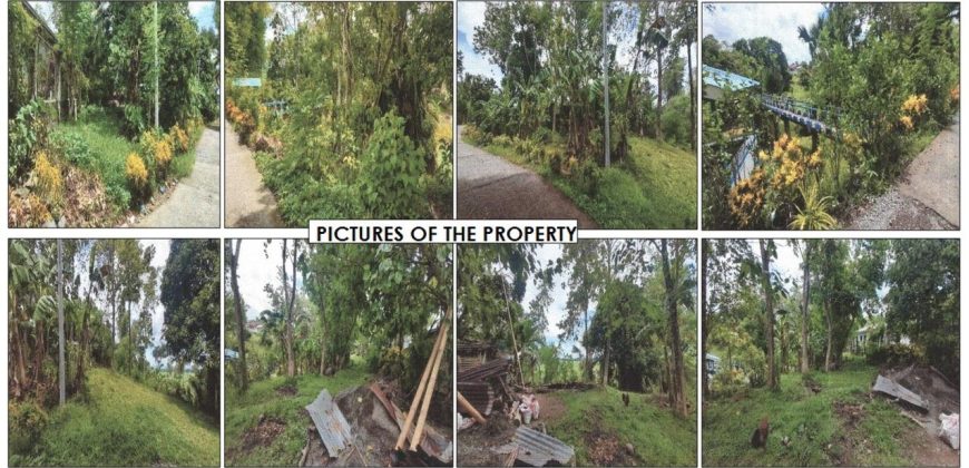 Foreclosed Agricultural Lot in Jones, Isabela · Lot 4 (PDIC)