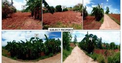 Foreclosed Agricultural Lot in Jones, Isabela · Lot 7758 (PDIC)