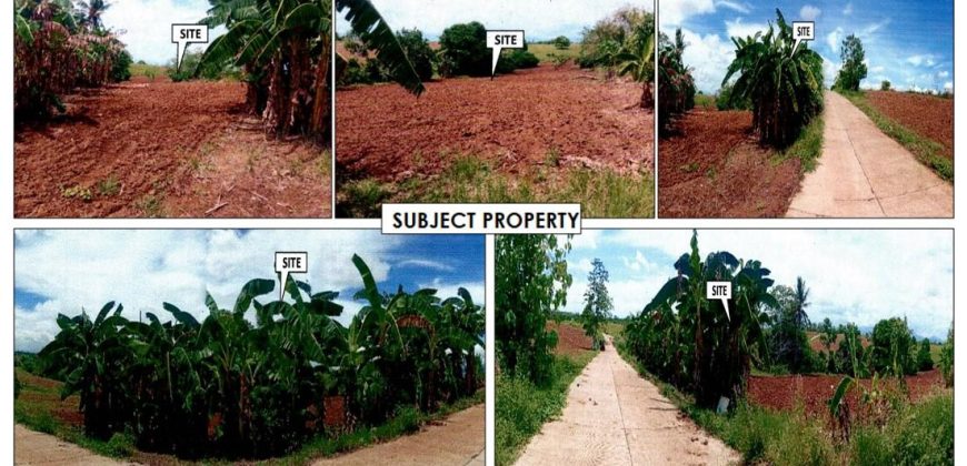 Foreclosed Agricultural Lot in Jones, Isabela · Lot 7758 (PDIC)