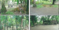 Foreclosed Residential Lot in Butuan City, Agusan del Norte (PDIC)