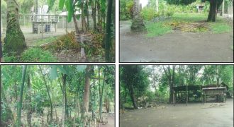 Foreclosed Residential Lot in Butuan City, Agusan del Norte (PDIC)