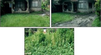 Foreclosed Property in Butuan City, Agusan del Norte – Aviola Subdivision (PDIC)