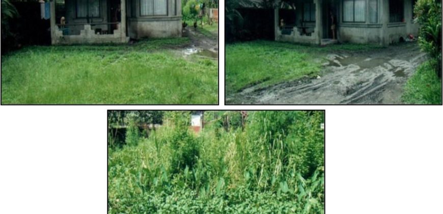 Foreclosed Property in Butuan City, Agusan del Norte – Aviola Subdivision (PDIC)