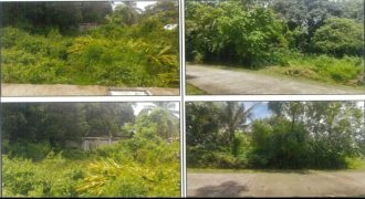 Foreclosed Residential Lot in Patnongon, Antique (PDIC)