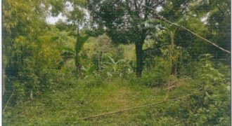 Foreclosed Agricultural Lot in Nueva Valencia, Guimaras