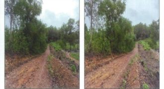 Foreclosed Agricultural Lot in Nueva Valencia, Guimaras