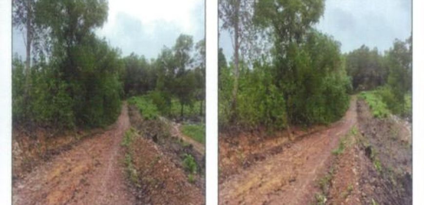 Foreclosed Agricultural Lot in Nueva Valencia, Iloilo · Lot 4256 (PDIC)
