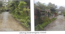 Foreclosed Residential Lot in Lambunao, Iloilo (PDIC)