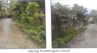 Foreclosed Residential Lot in Lambunao, Iloilo (PDIC)