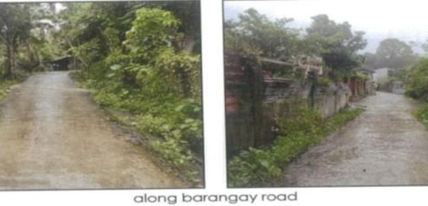 Foreclosed Residential Lot in Lambunao, Iloilo (PDIC)