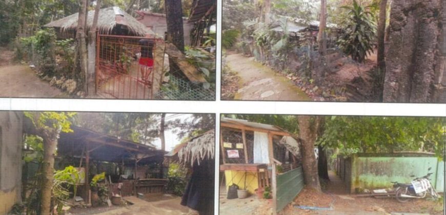 Foreclosed Property in Nueva Valencia, Iloilo · Lot 400 (PDIC)