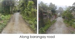 Foreclosed Residential Lot in Lambunao, Iloilo · Lot 6588-B-2 (PDIC)