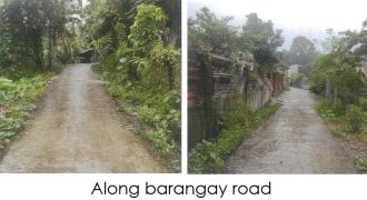 Foreclosed Residential Lot in Lambunao, Iloilo · Lot 6588-B-2 (PDIC)