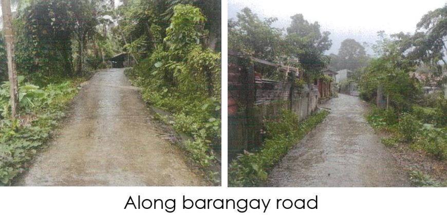Foreclosed Residential Lot in Lambunao, Iloilo · Lot 6588-B-2 (PDIC)