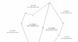 Foreclosed Agricultural Lot in San Lorenzo, Iloilo · Lot 4700-A (PDIC)