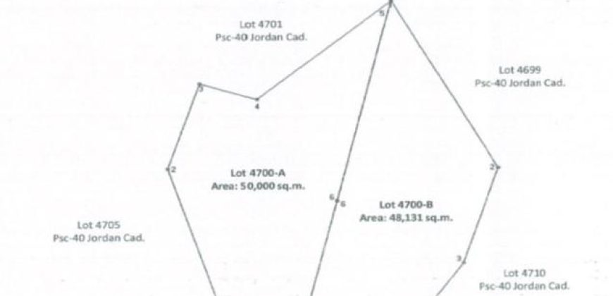 Foreclosed Agricultural Lot in San Lorenzo, Iloilo · Lot 4700-A (PDIC)