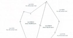 Foreclosed Agricultural Lot in San Lorenzo, Iloilo (PDIC)