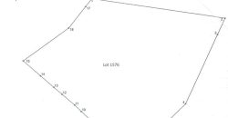 Foreclosed Agricultural Lot in Santol, La Union · Lot No. 1576 (PDIC)