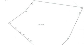 Foreclosed Agricultural Lot in Santol, La Union · Lot No. 1576 (PDIC)