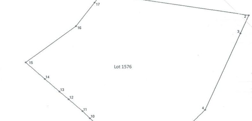 Foreclosed Agricultural Lot in Santol, La Union · Lot No. 1576 (PDIC)