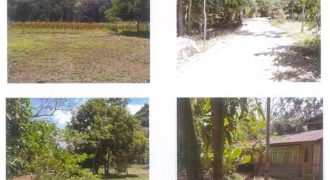 Foreclosed Property in Sudipen, La Union (PDIC)