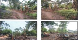 Foreclosed Residential Lot in Echague, Isabela · Lot 5 (PDIC)
