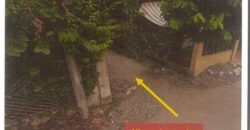 Foreclosed Property in Malasiqui, Pangasinan · Lot 8891-D (PDIC)