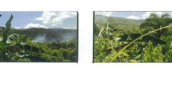 Foreclosed Agricultural Lot in San Fernando City, Cebu (PDIC)