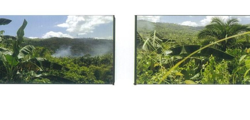 Foreclosed Agricultural Lot in San Fernando City, Cebu (PDIC)