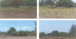 Foreclosed Property in San Marcelino, Zambales, Luzon