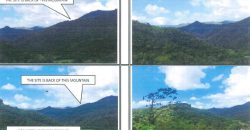 Foreclosed Agricultural Lot in Lagonoy, Camarines Sur · Lot 1636 (PDIC)