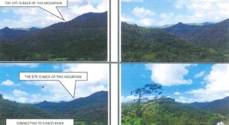 Foreclosed Agricultural Lot in Lagonoy, Camarines Sur · Lot 1636 (PDIC)