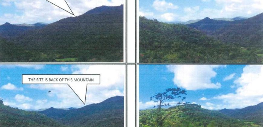 Foreclosed Agricultural Lot in Lagonoy, Camarines Sur · Lot 1636 (PDIC)