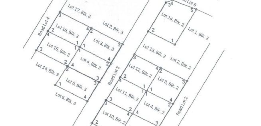 Foreclosed Property in Candelaria, Quezon · Lot 3 Blk. 3 (PDIC)