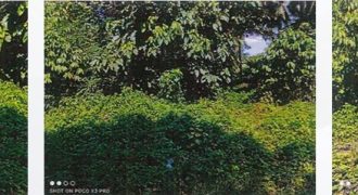 Foreclosed Residential Lot in Koronadal City, South Cotabato (PDIC)