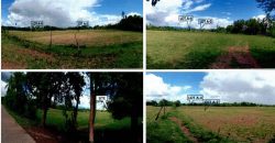 Foreclosed Residential Lot in San Agustin, Isabela · Lot A-4 (PDIC)