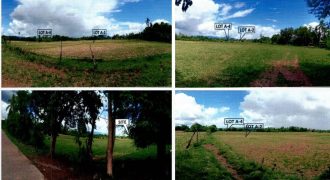 Foreclosed Residential Lot in San Agustin, Isabela · Lot A-4 (PDIC)