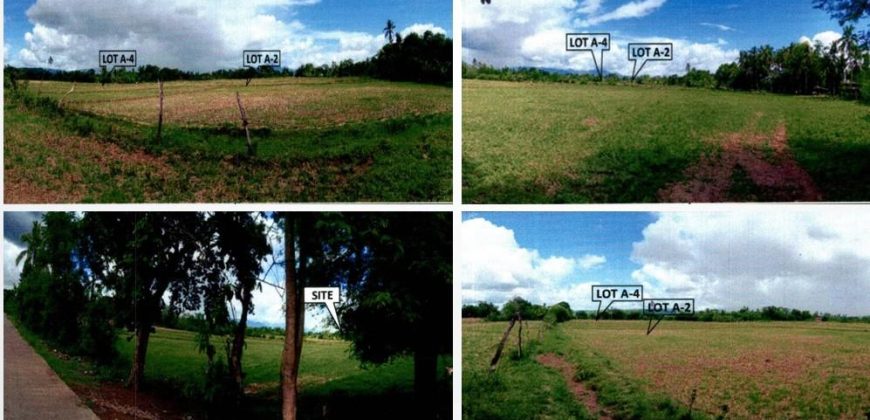 Foreclosed Residential Lot in San Agustin, Isabela · Lot A-4 (PDIC)