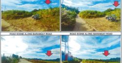 Foreclosed Agricultural Lot in Nasugbu, Batangas, Luzon #2